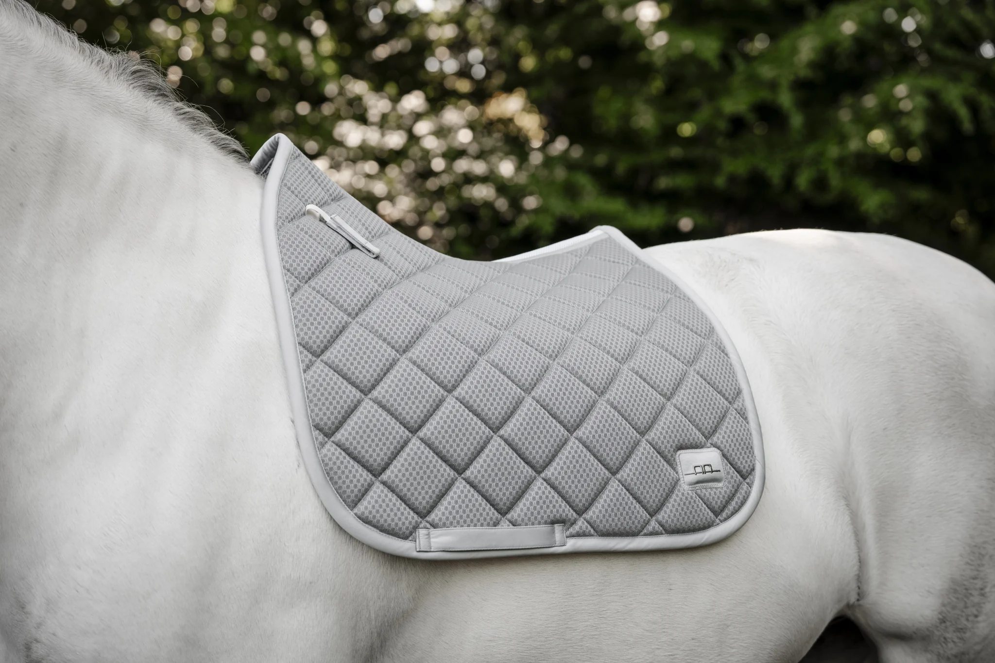 Alessandro Albanese Performance Dressage Pad - Image 6
