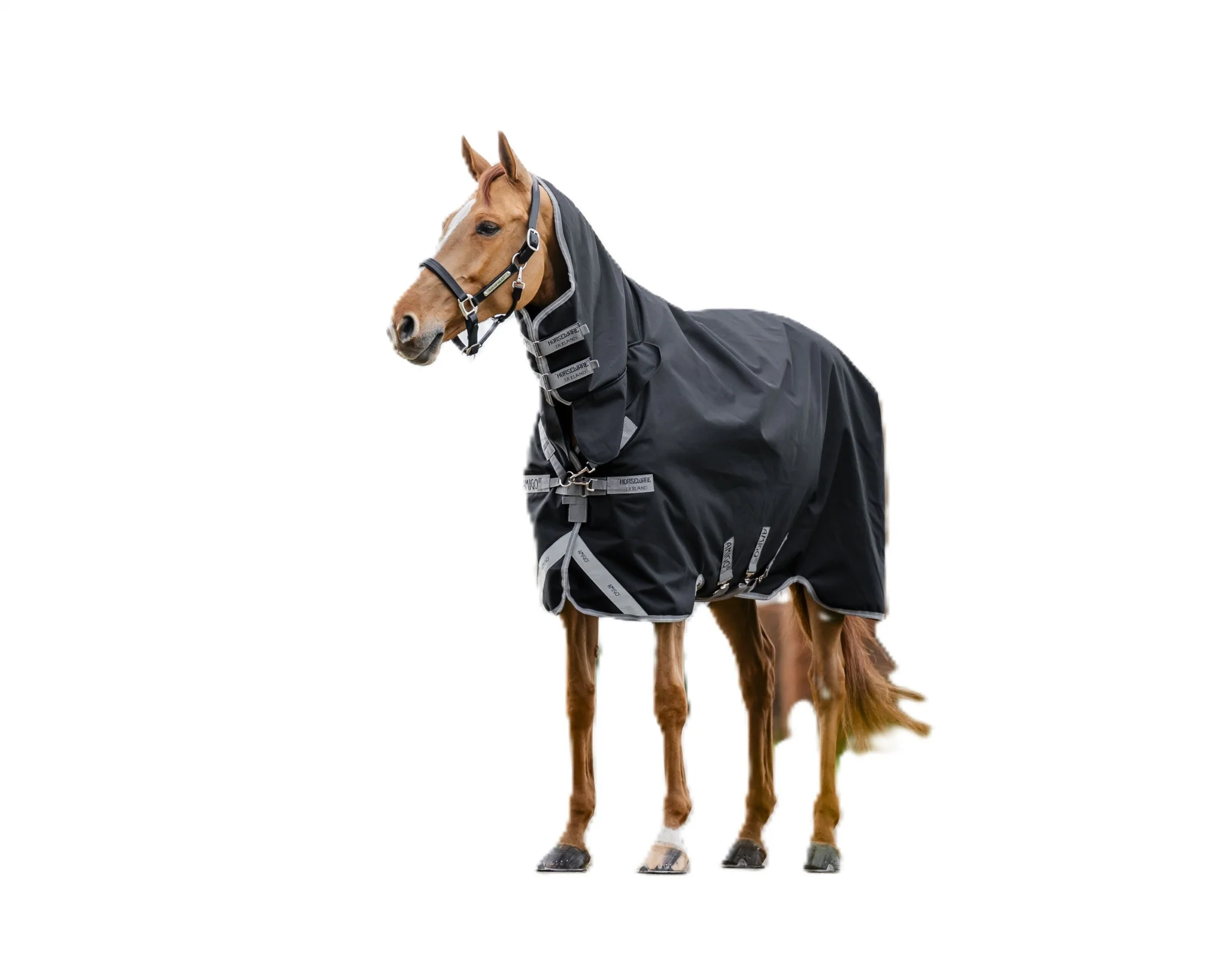 Amigo 1200D Integrated Turnout 250g - Image 2