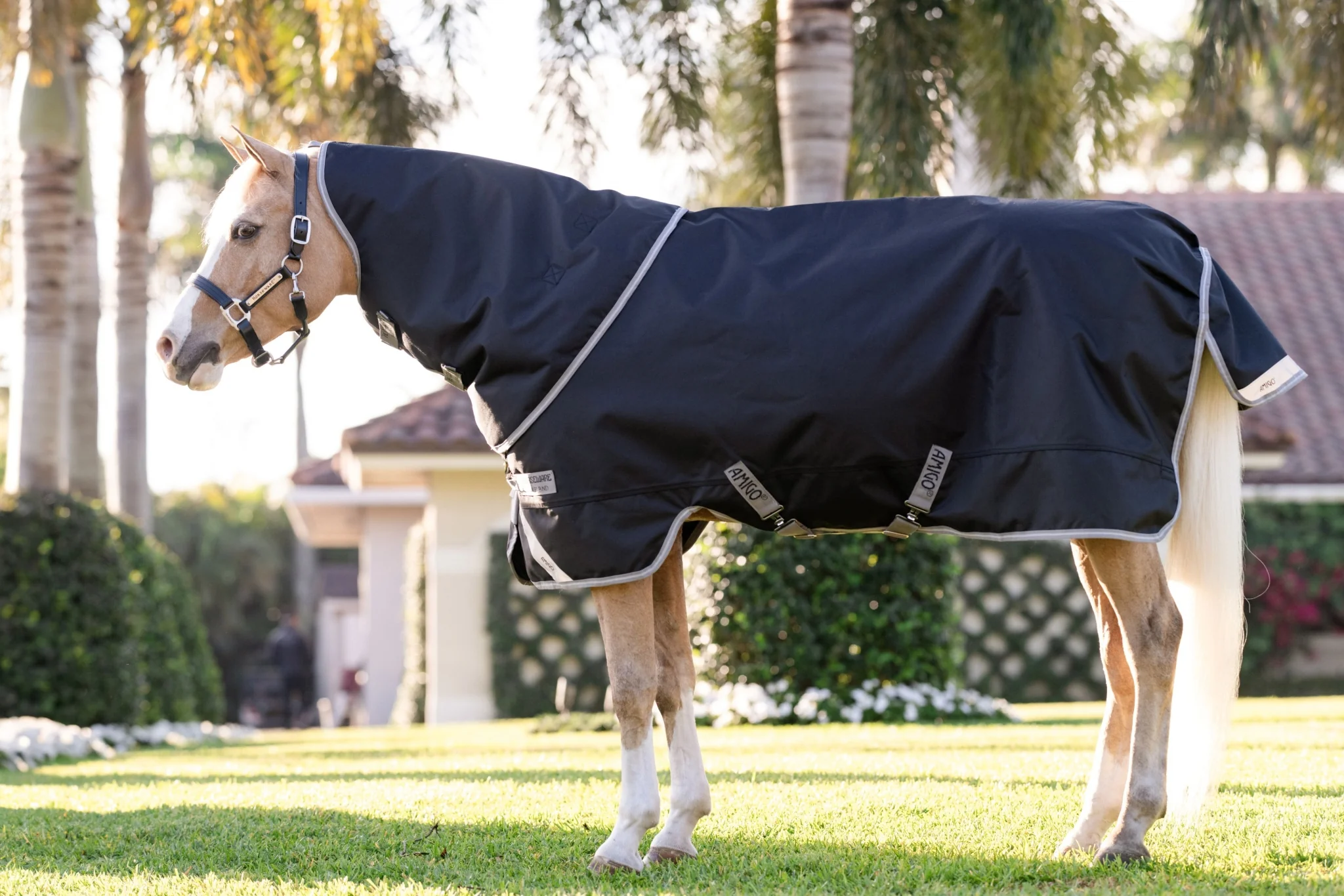 Amigo 1200D Plus Pony Turnout 50g - Image 4