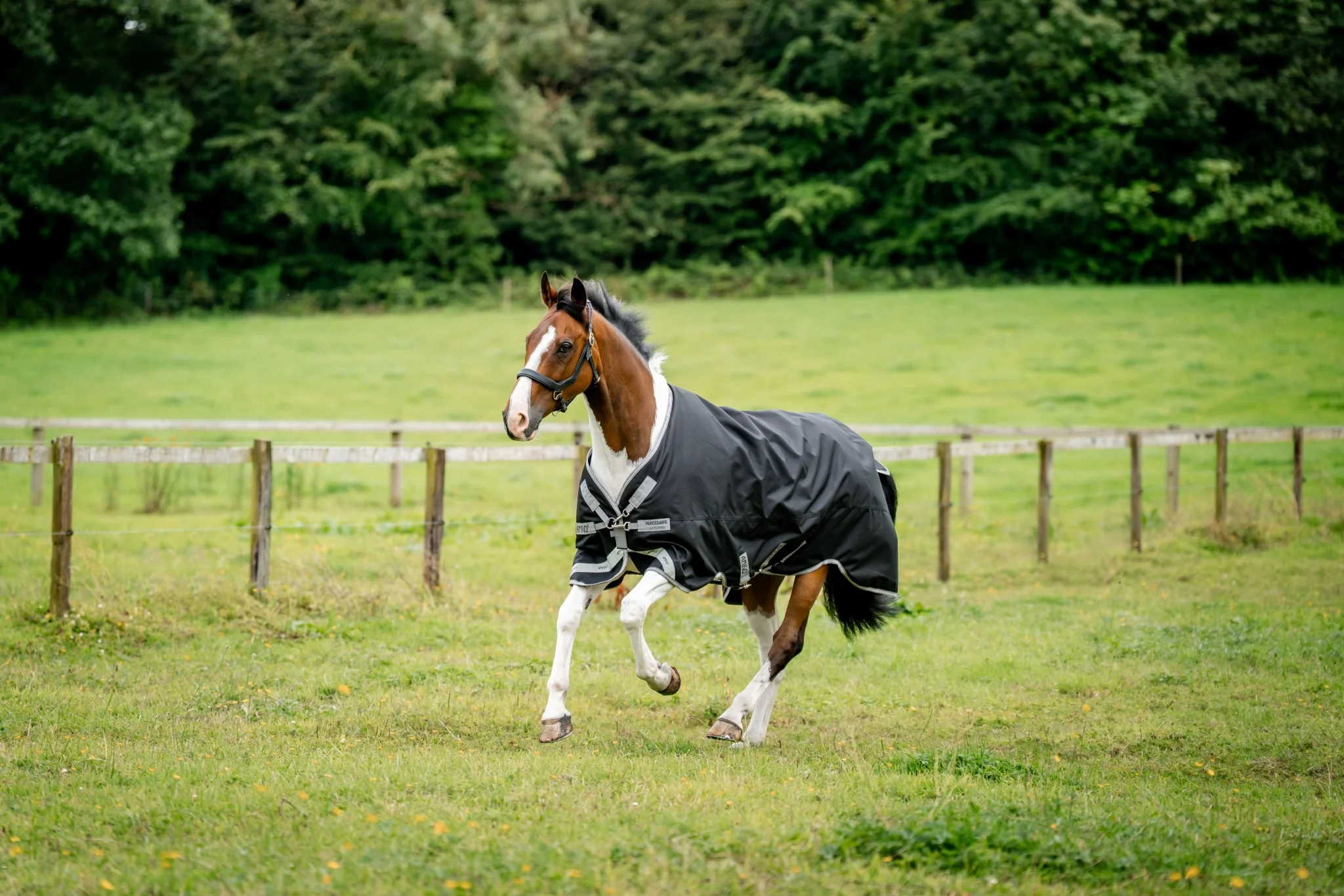Amigo 1200D XL Turnout 50g - Image 4