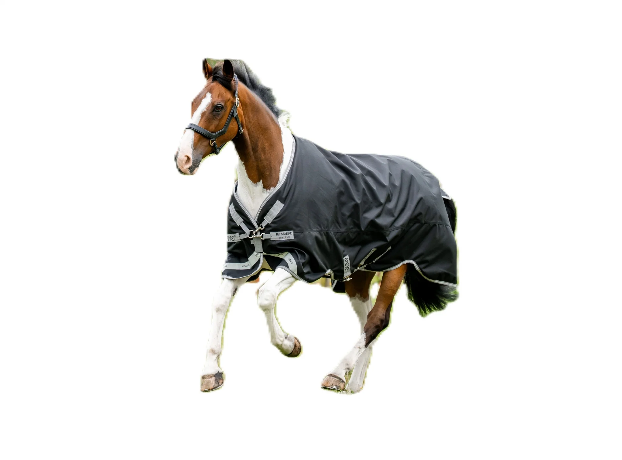 Amigo 1200D XL Turnout 50g - Image 2