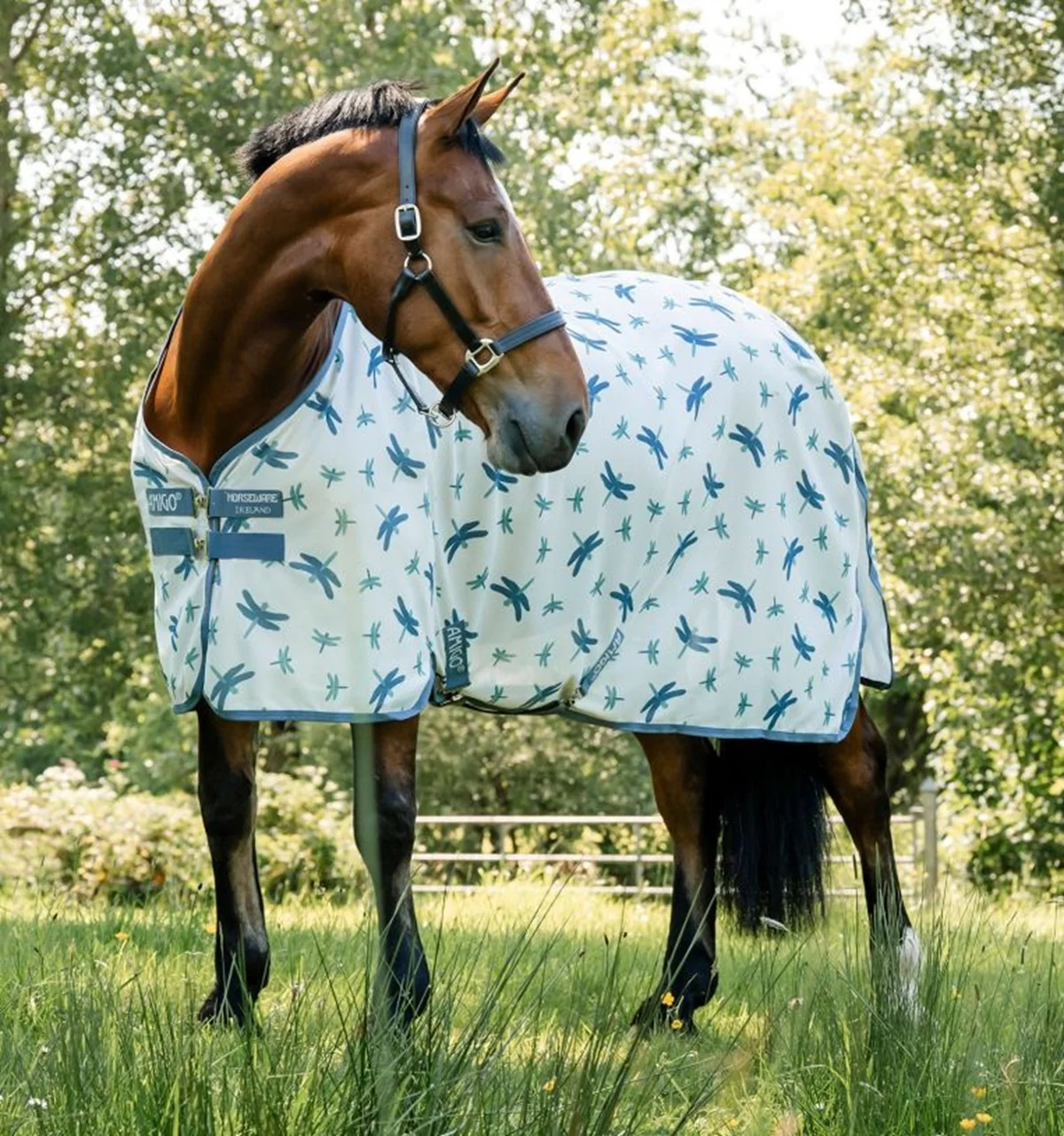Amigo Bug Rug XL Plus Fly Sheet - Image 3