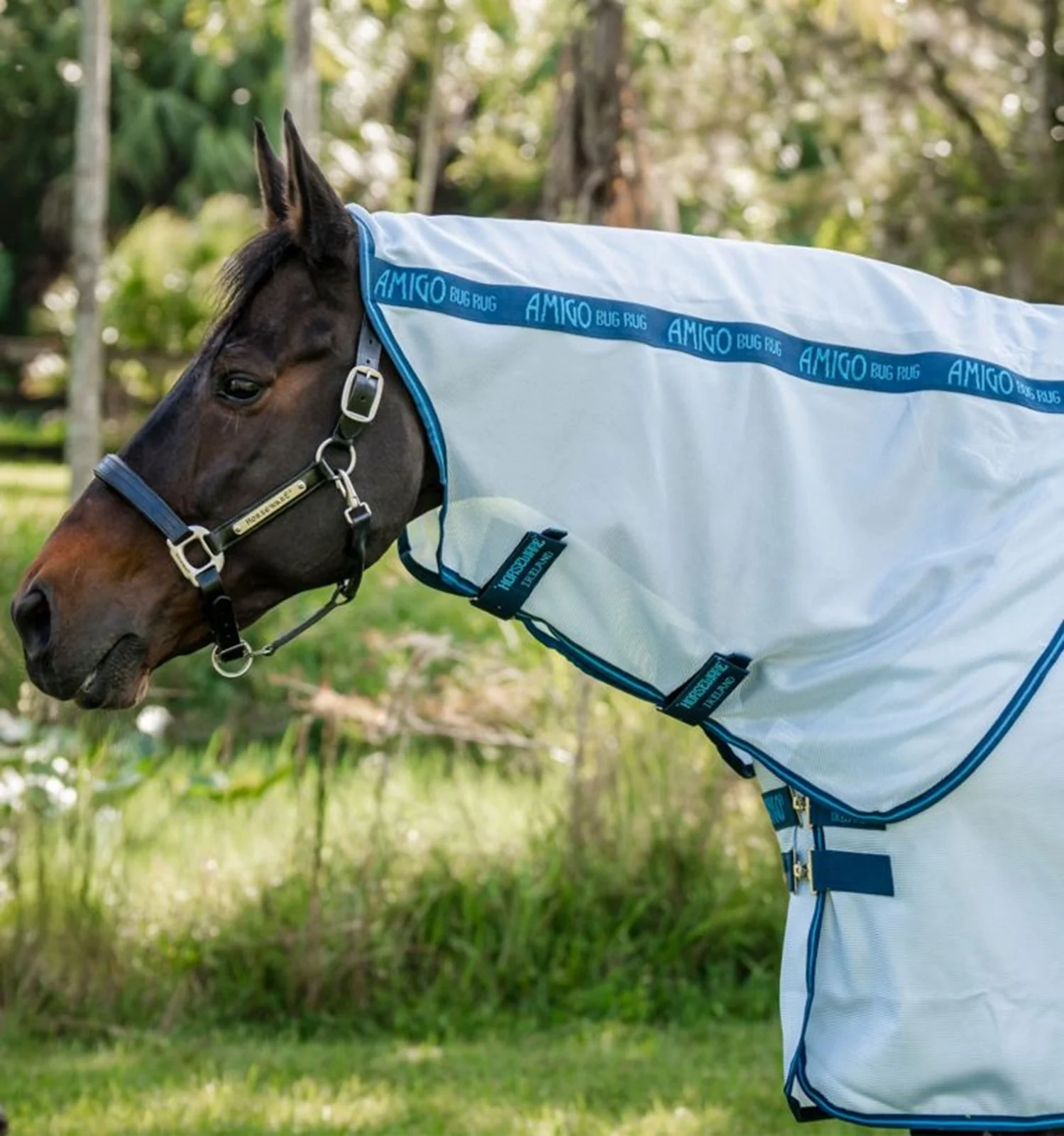 Amigo Bug Rug XL Plus Fly Sheet - Image 4