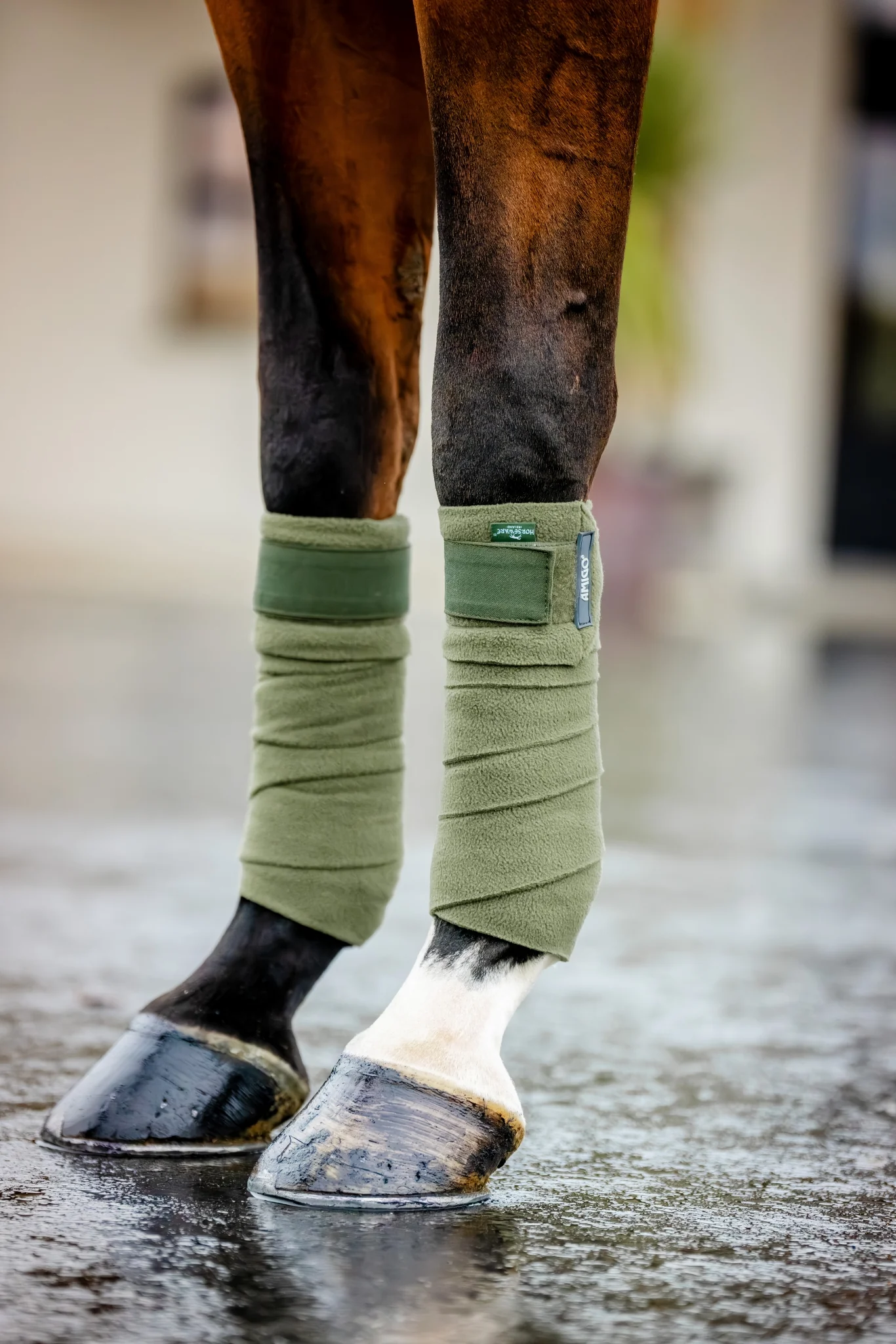 Amigo Fleece Bandages - Image 6