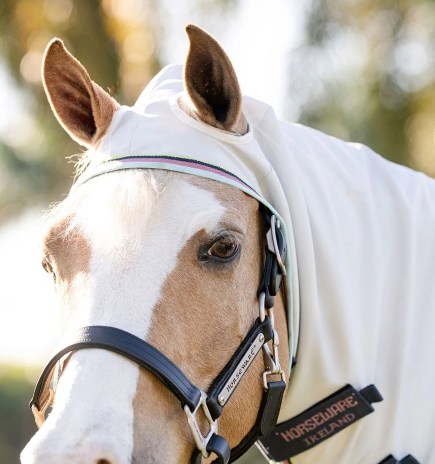 Amigo Ripstop Pony Hoody - Image 5