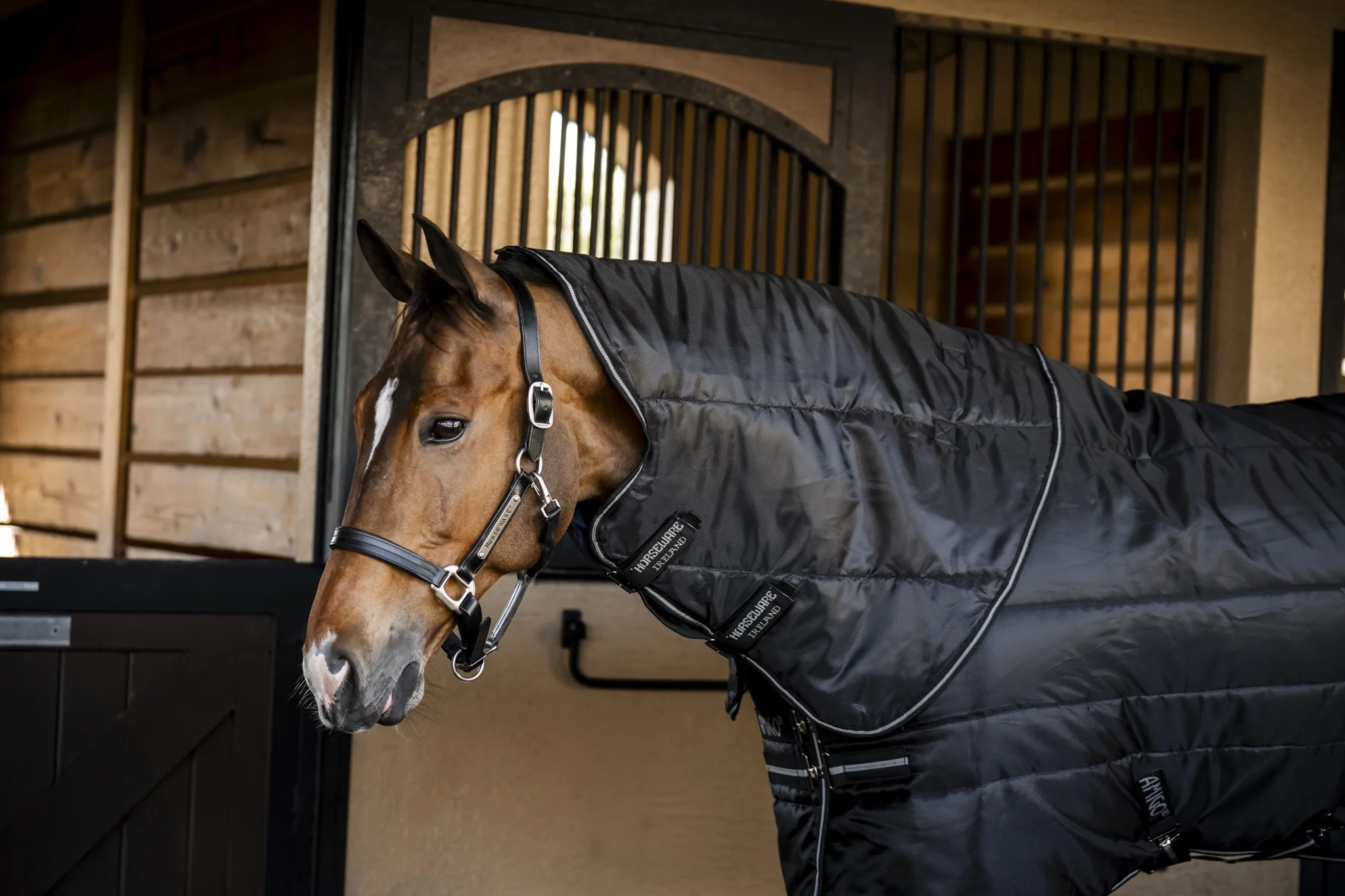 Amigo RS Insulator Plus Stable 350g - Image 4