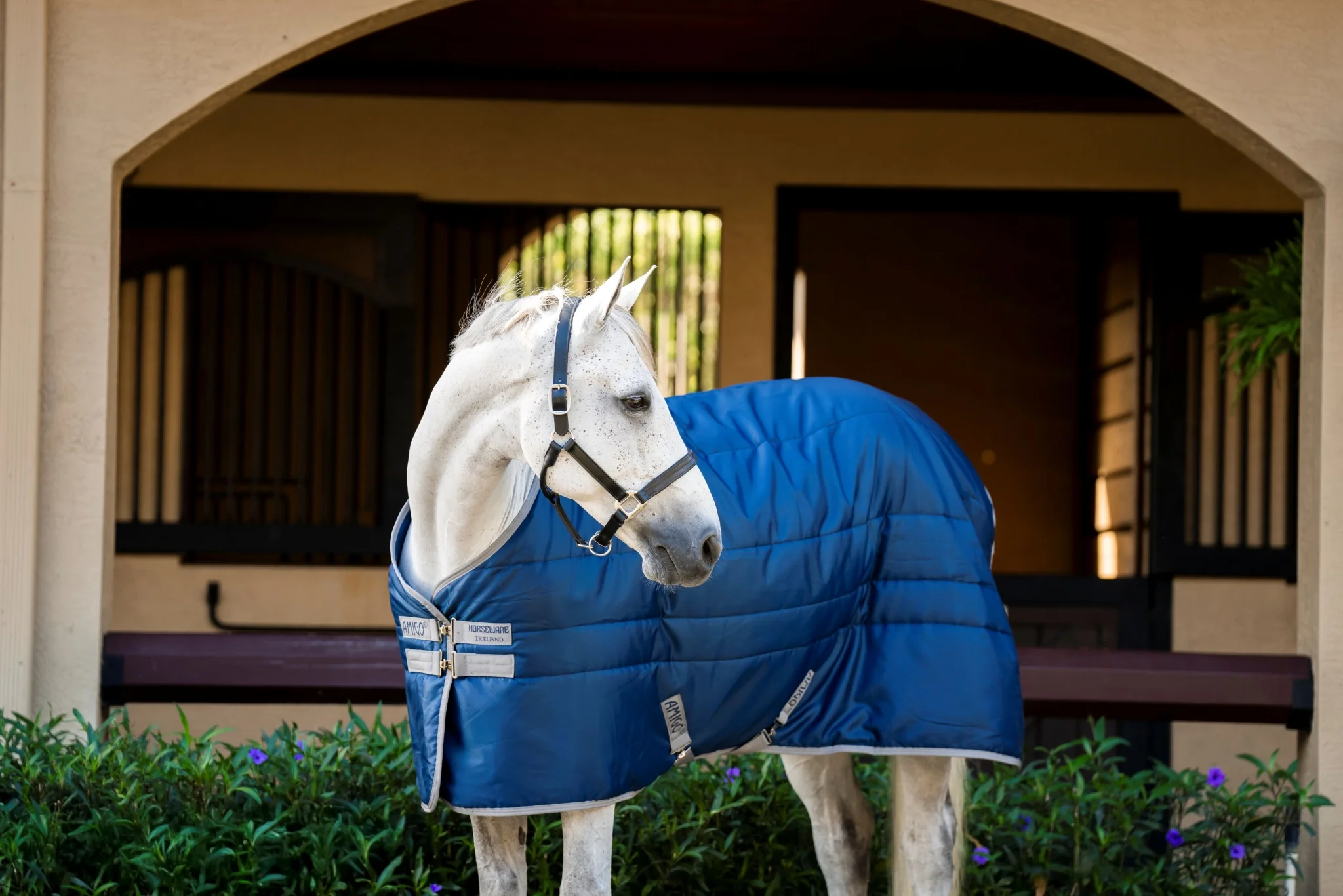 Amigo RS Insulator Pony Stable 100g - Image 2