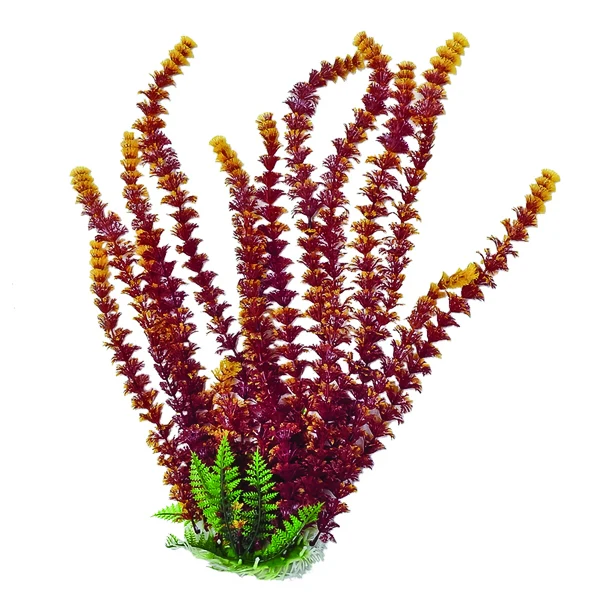 Aquatop Cabomba Fire Aquarium Plant - Image 4