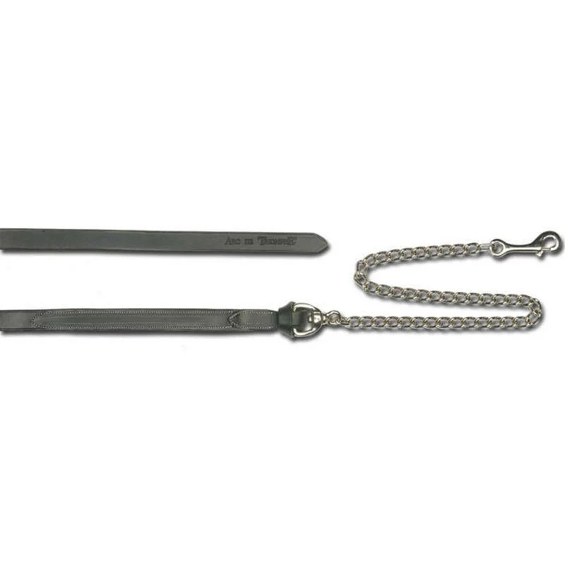 Arc de Triomphe Padded Lead with Chain Shank - Image 3