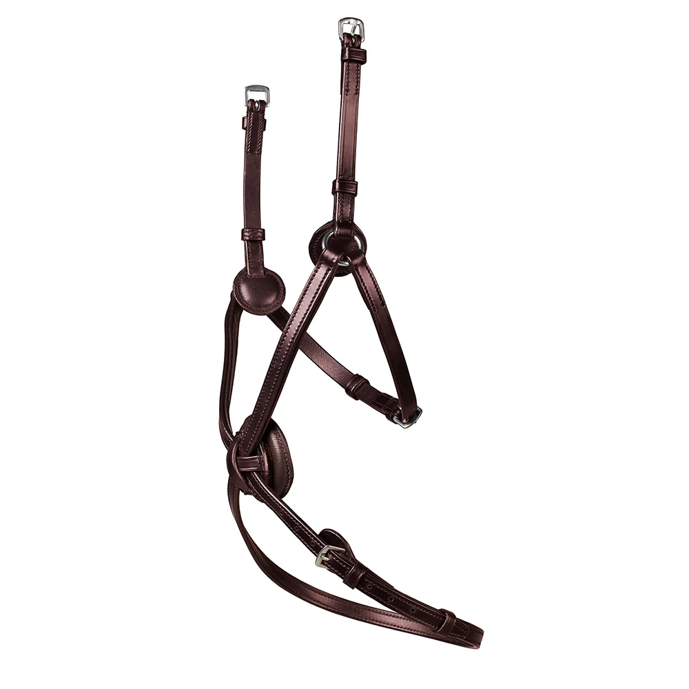 Arena Grackle Bridle - Image 2