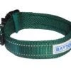 Baydog Tampa Dog Collar - Image 4
