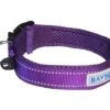 Baydog Tampa Dog Collar - Image 5