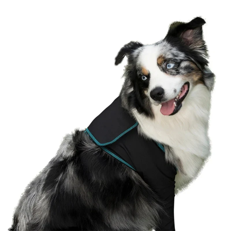 BeneFab Canine Comfort & Care Sleeves - Front - Image 2
