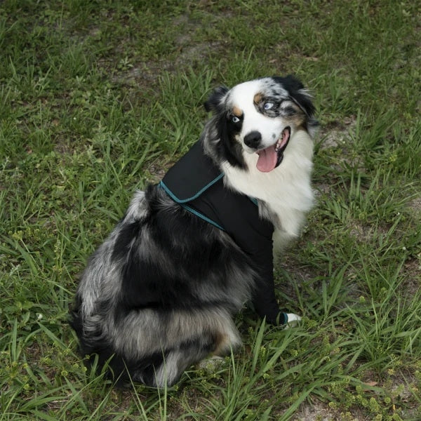 BeneFab Canine Comfort & Care Sleeves - Front - Image 3