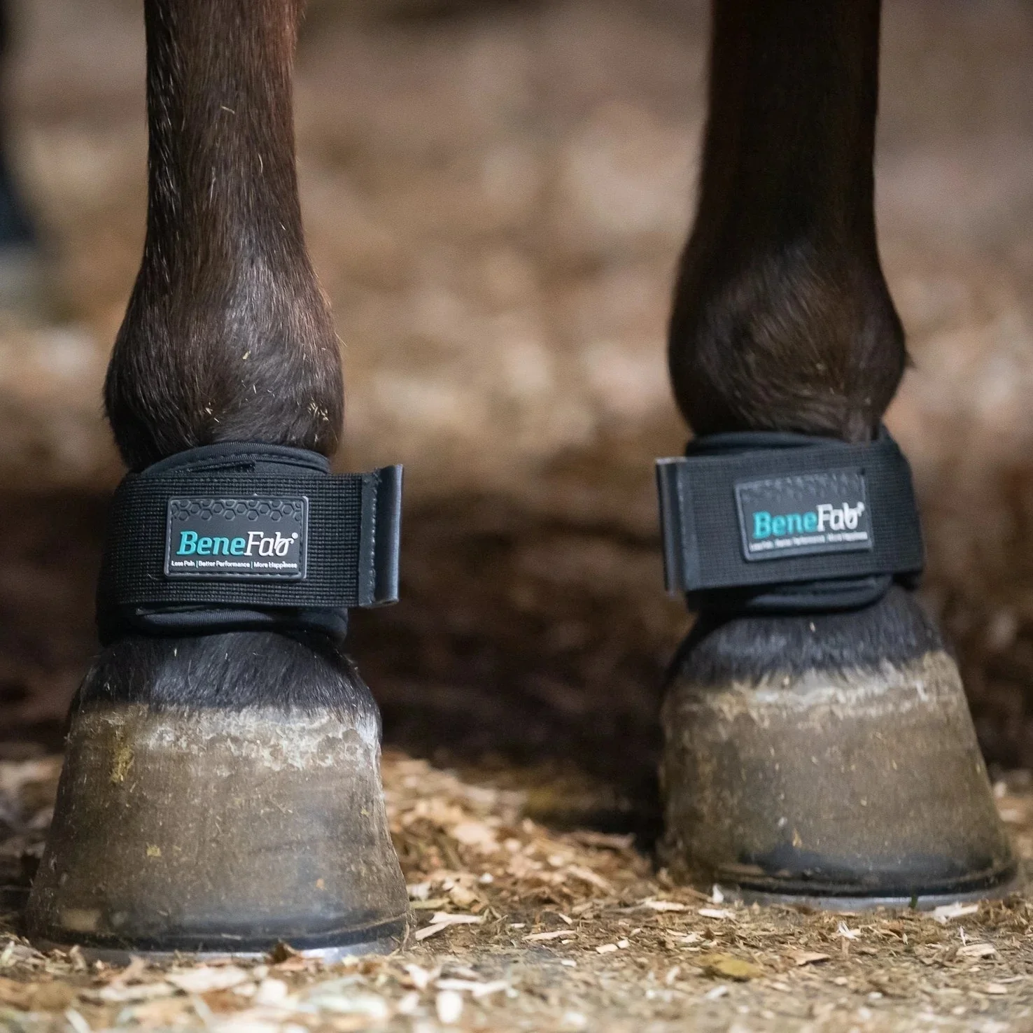 BeneFab Therapeutic Pastern Wraps - Image 3