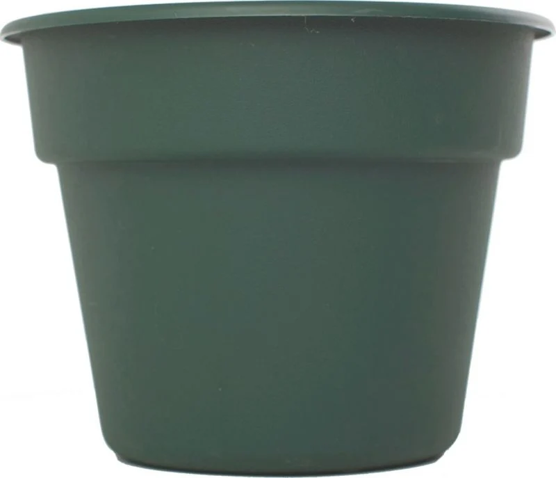 Bloem Dura Cotta Hanging Basket 12in Peppercorn