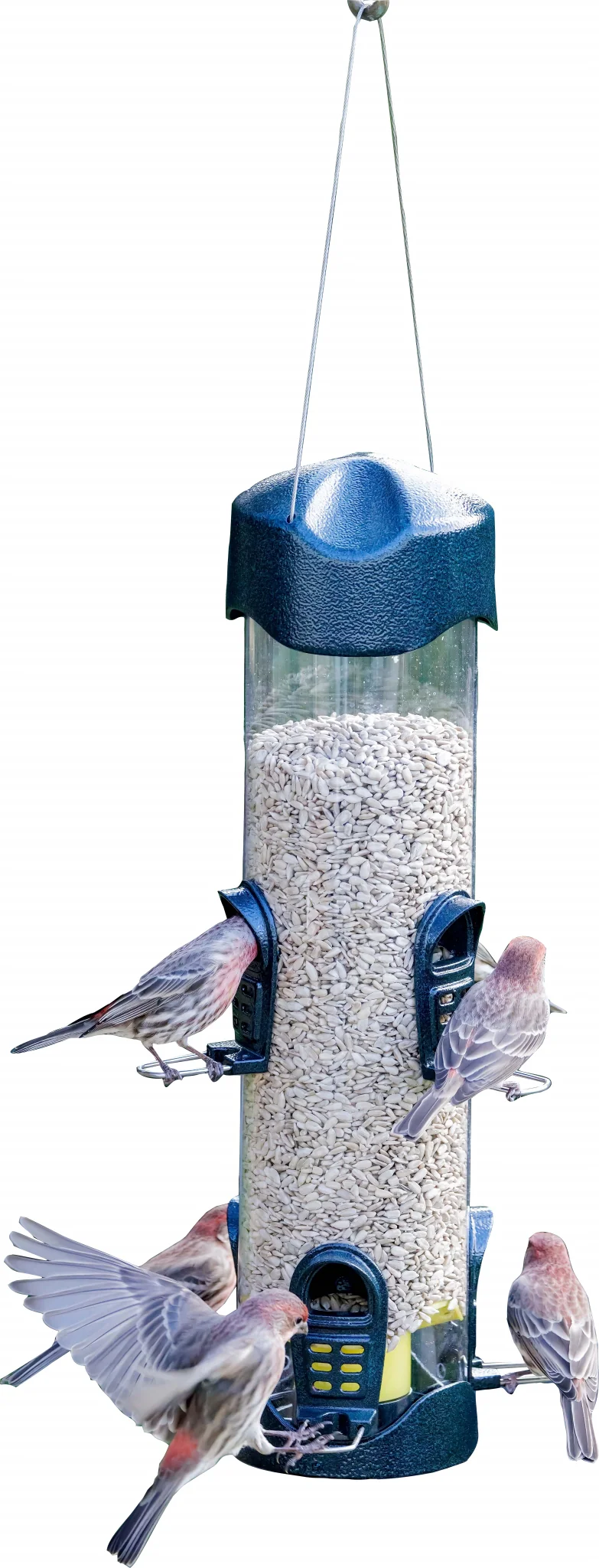 Brome Mega 600 Tube Feeder - Image 2