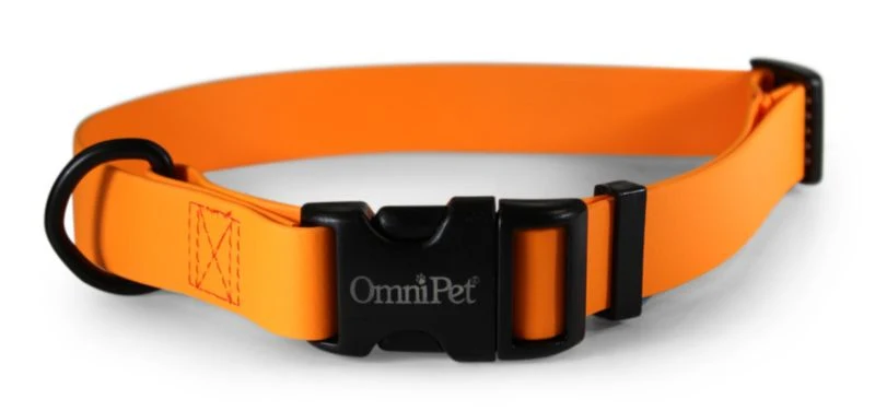 Carnival Waterproof Dog Collar - Image 2
