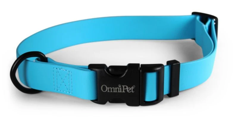 Carnival Waterproof Dog Collar - Image 3
