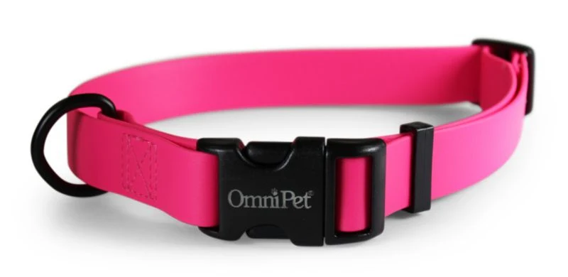 Carnival Waterproof Dog Collar - Image 4