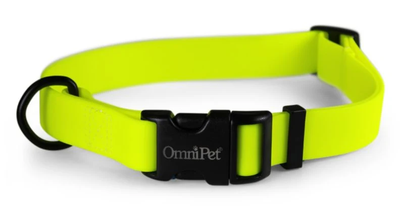 Carnival Waterproof Dog Collar - Image 5