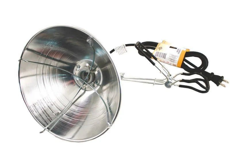 Chicken And Pig Brooder Light with Clamp 6ft Silver