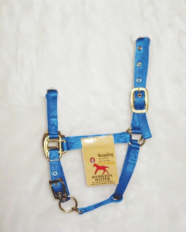 Hamilton Halter with Adjust Chin/Snap Weanling Blue