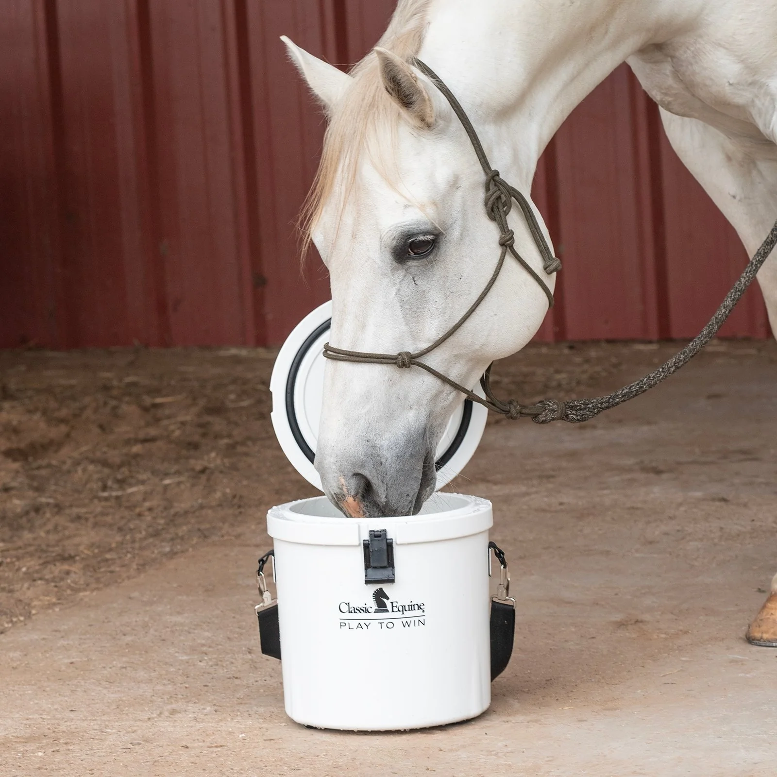 Classic Equine Bucket Cooler - Image 4