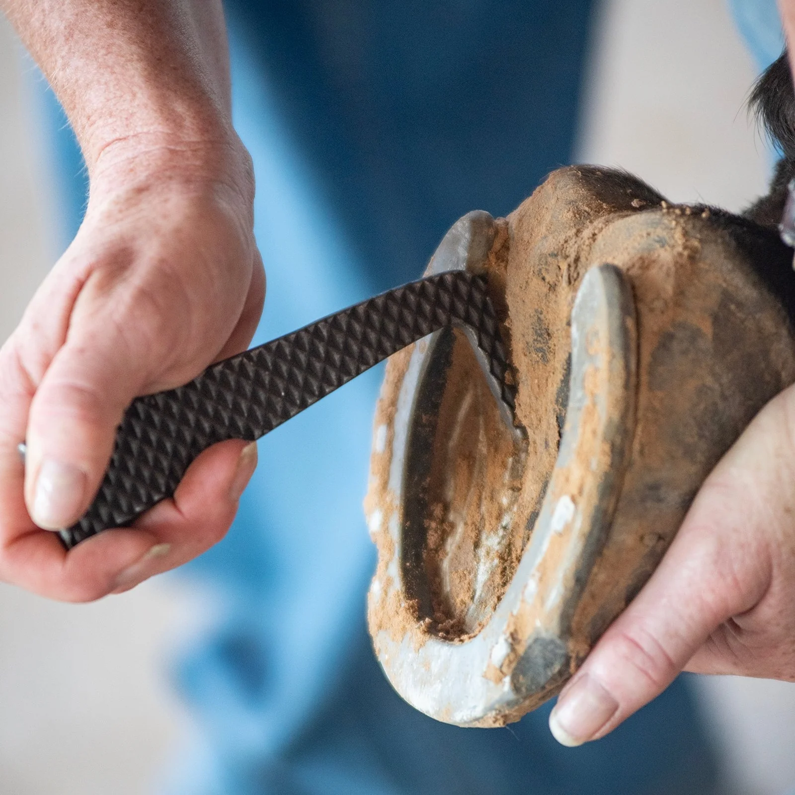 Classic Equine Rasp Hoof Pick - Image 3