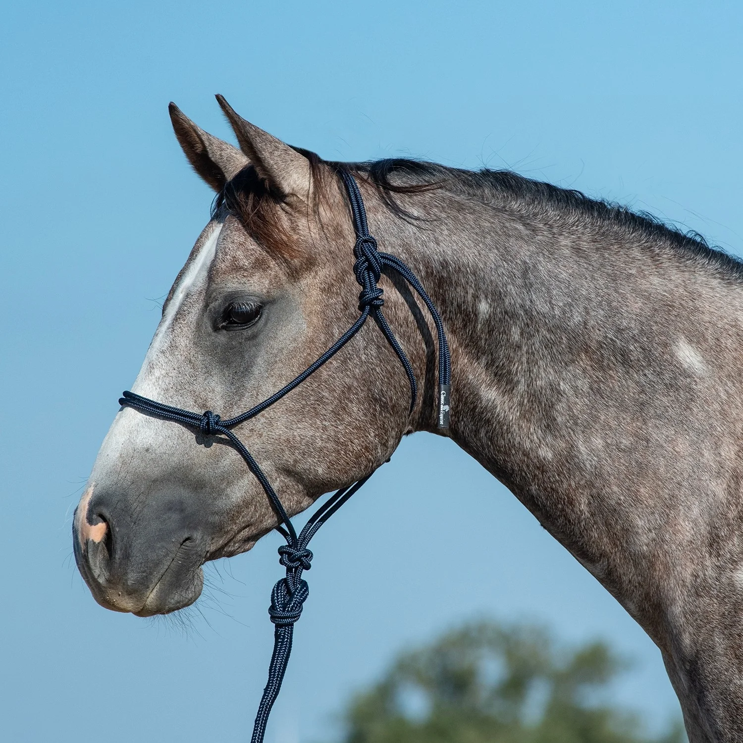 Classic Equine Rope Halter and 9 Foot Lead Rope - Image 4