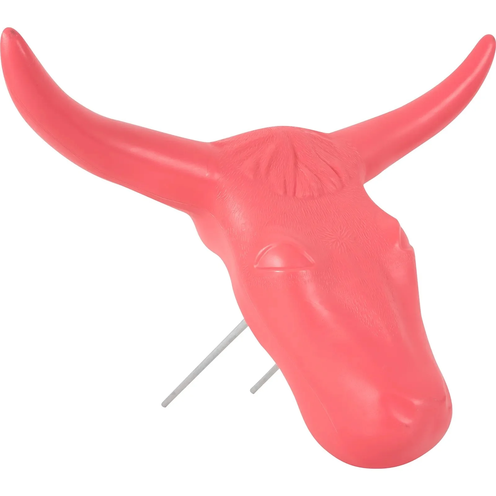Classic Rope Steer Head - Image 3