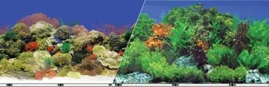 Blue Ribbon Reef Aquarium Background - Image 2