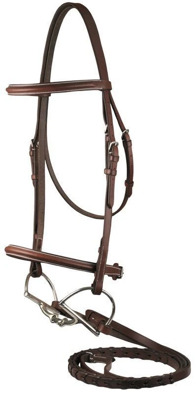 DaVinci Raised Bridle/Laced Reins - Image 2