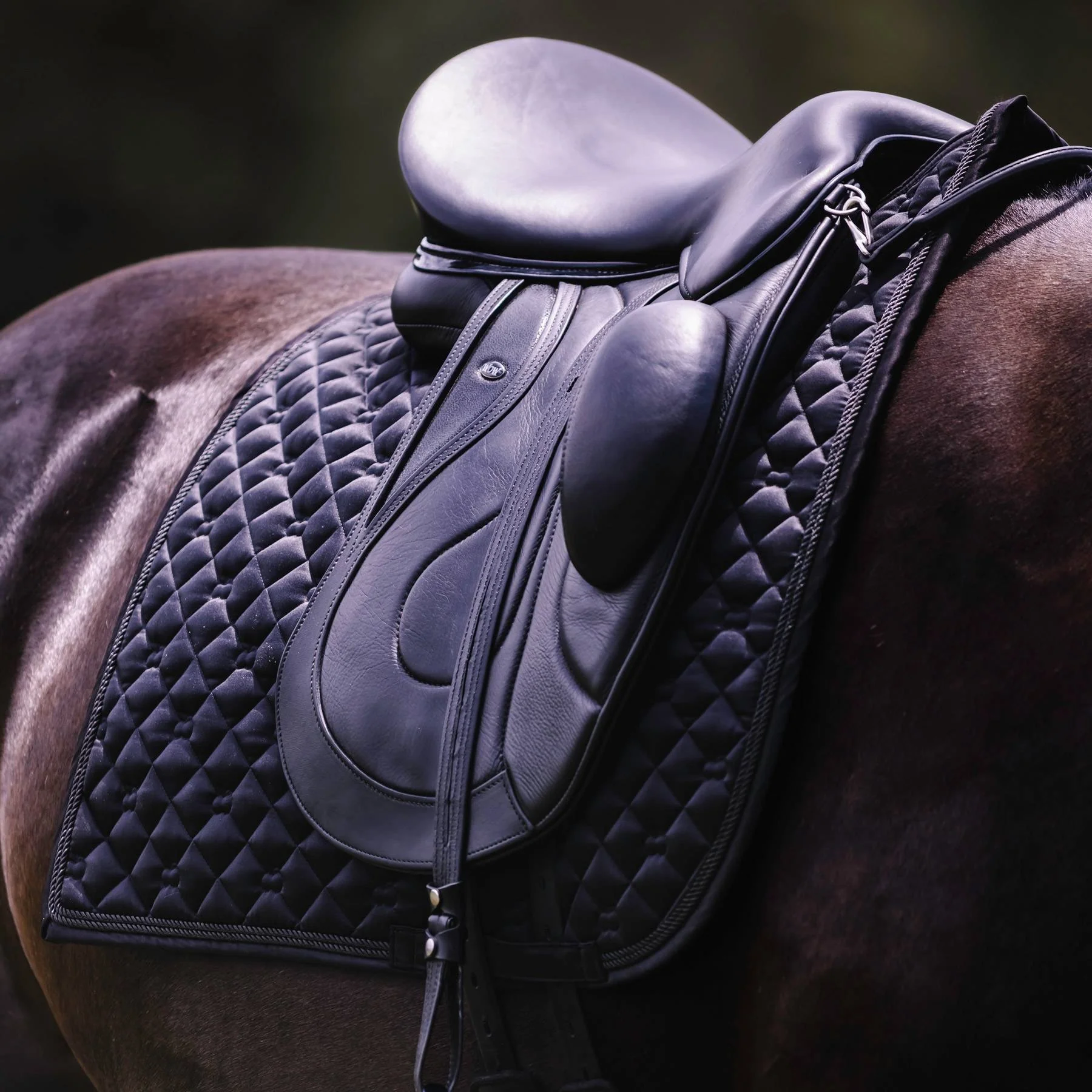 Dapplebay Sport Dressage Saddle Pad - Image 2