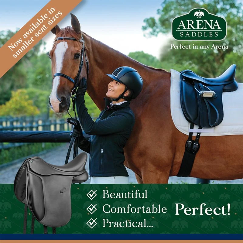 DEMO - Arena Dressage Saddle - Image 6