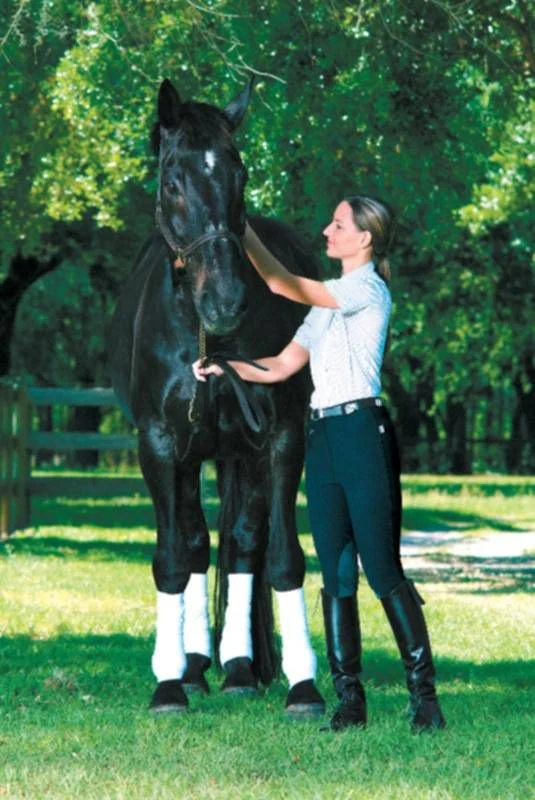 Devon-Aire Ladies All-Pro Ribbed Breech - Image 6
