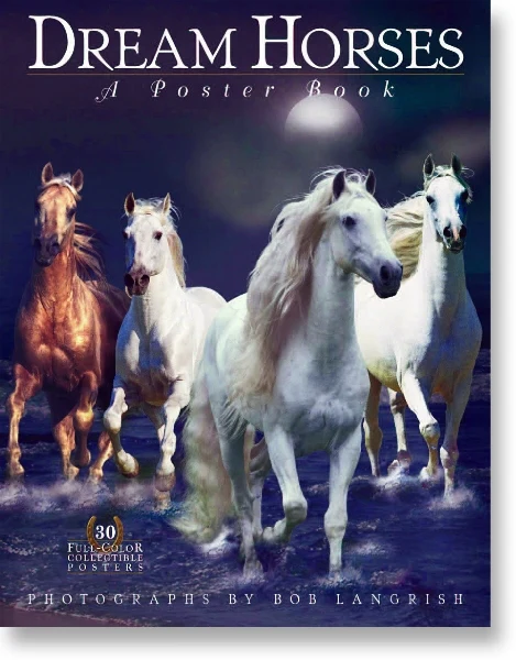 Dream Horses Poster Book