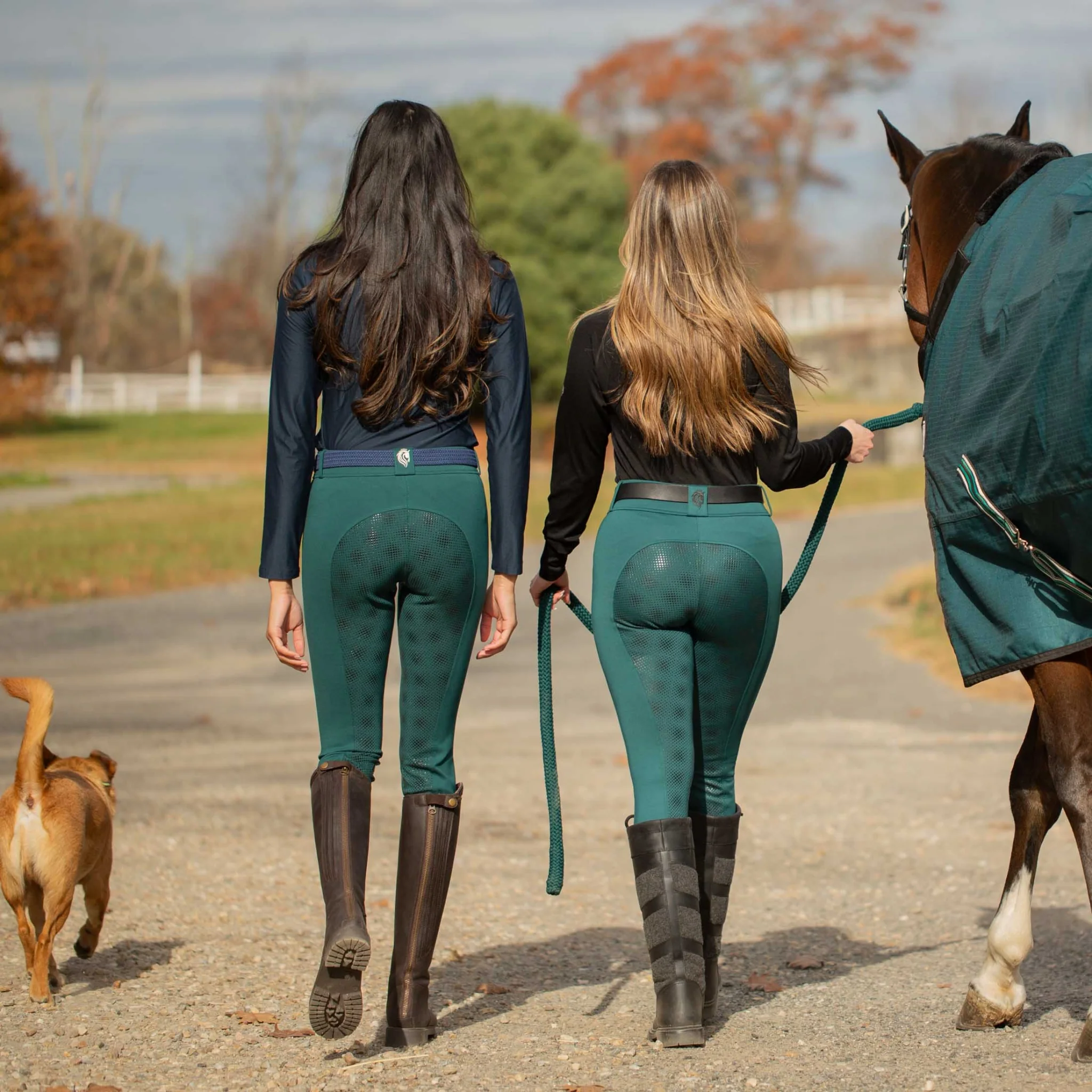 Equinavia Astrid Ladies Winter FS Breech - Image 13