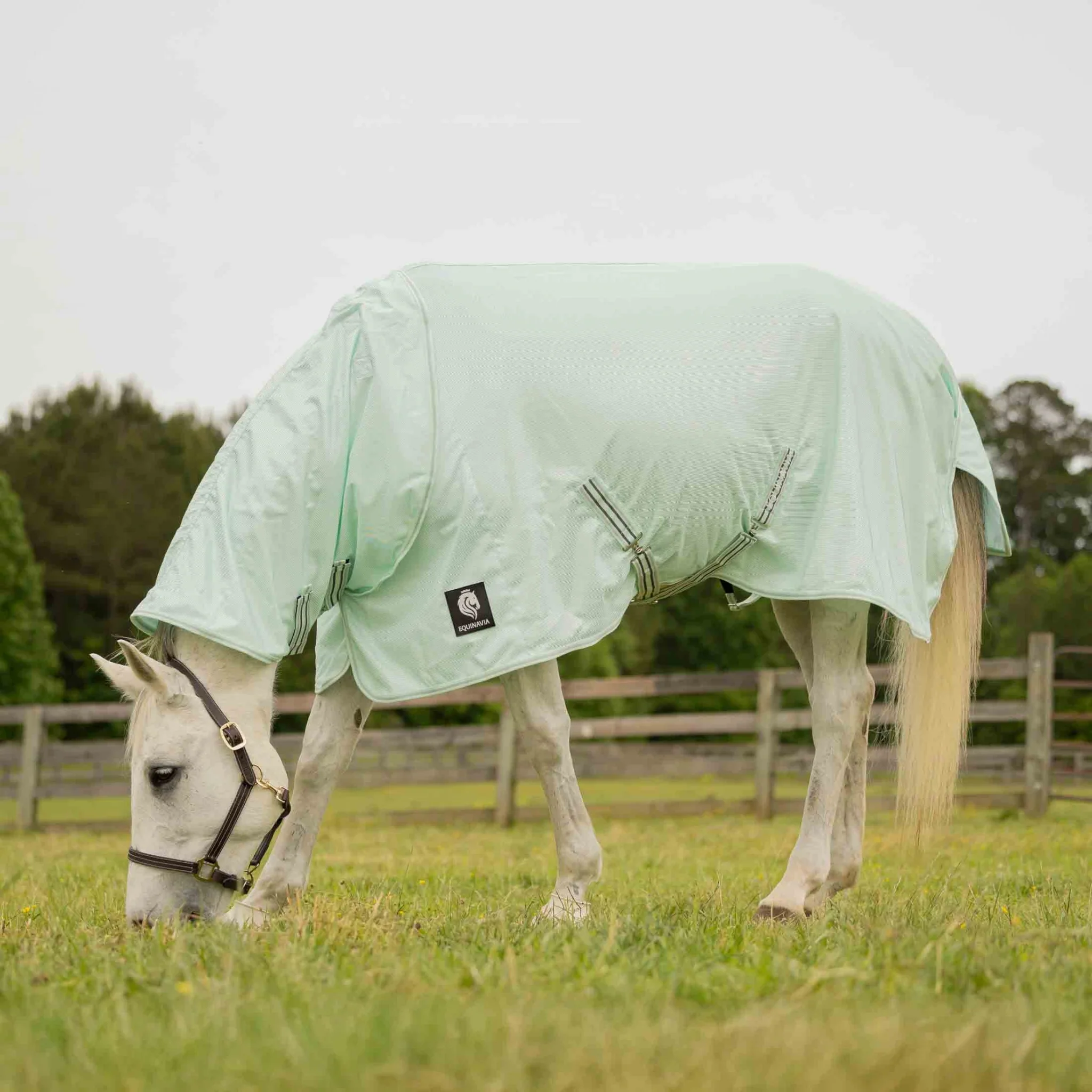 Equinavia Brisk Fly Sheet with Detachable Neck - Image 2