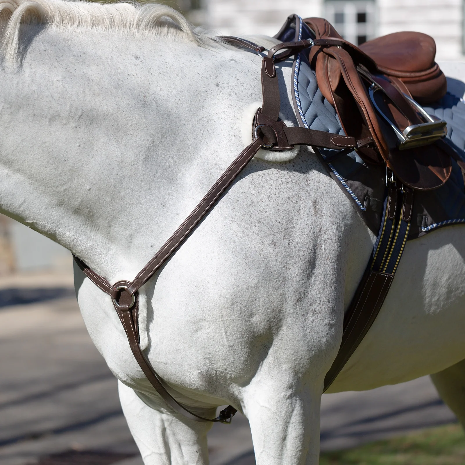 Equinavia Saga 5-point Breastplate - Image 3