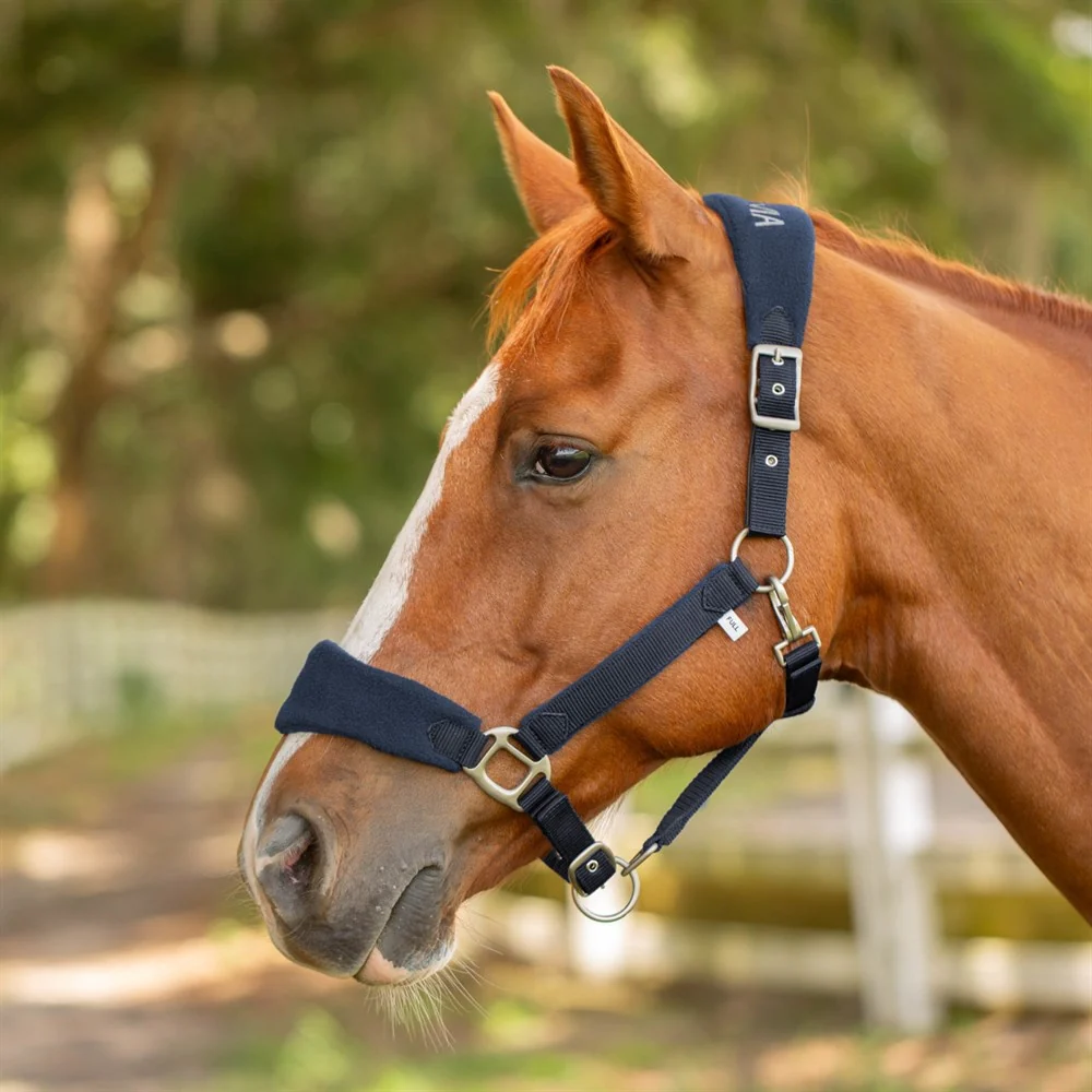 Equinavia Saga Fleece Padded Breakaway Halter - Image 2