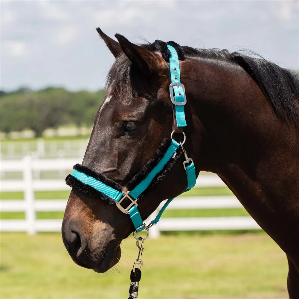 Equinavia Valkyrie Fleece Breakaway Halter - Image 14