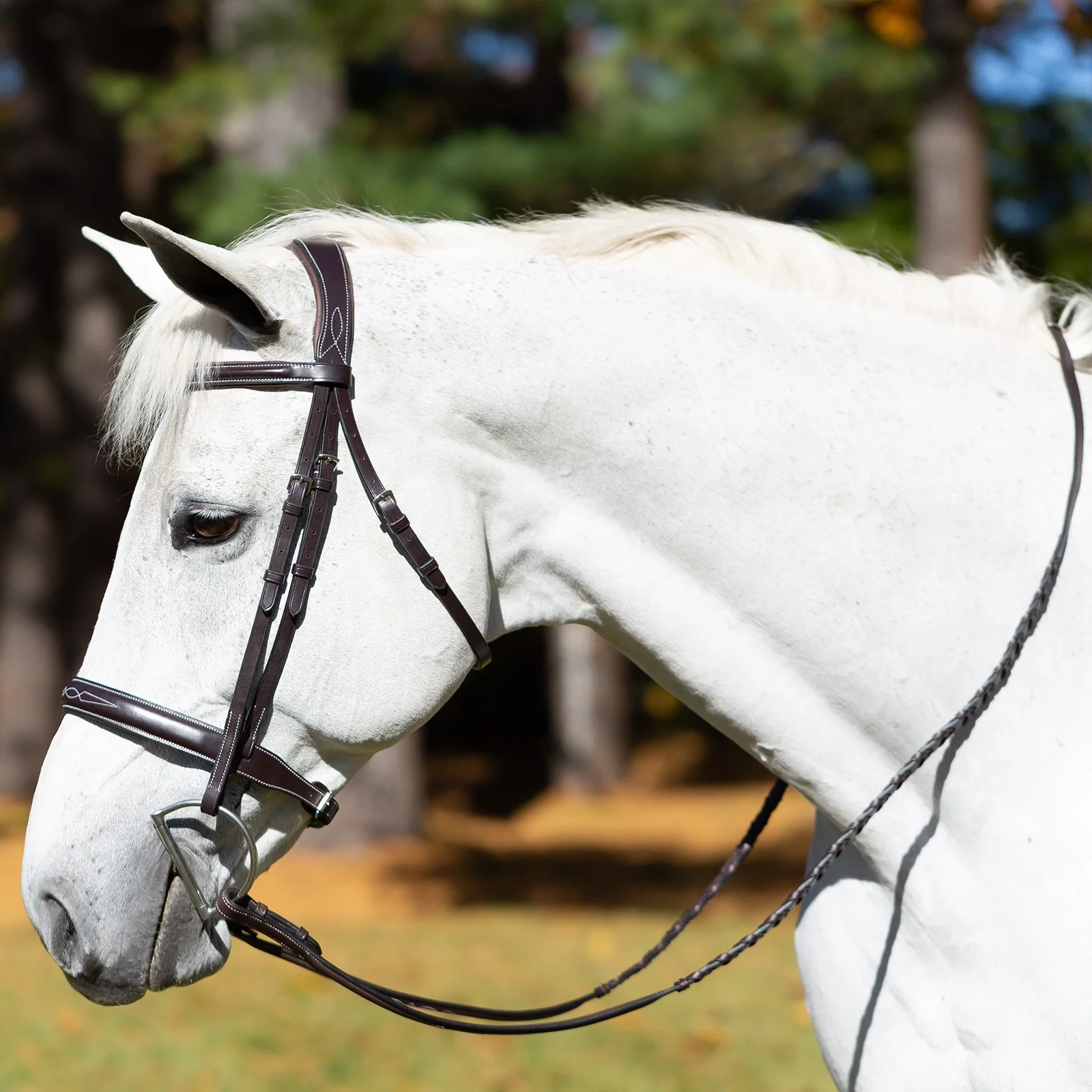 Equinavia Valkyrie Wide Noseband Hunter Bridle with Reins - Image 3