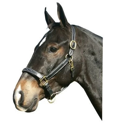 Fancy Stitched Leather Halter Large Horse Brown - Image 4