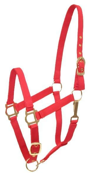 Gatsby Adj Nylon Halter/Snap - Image 6