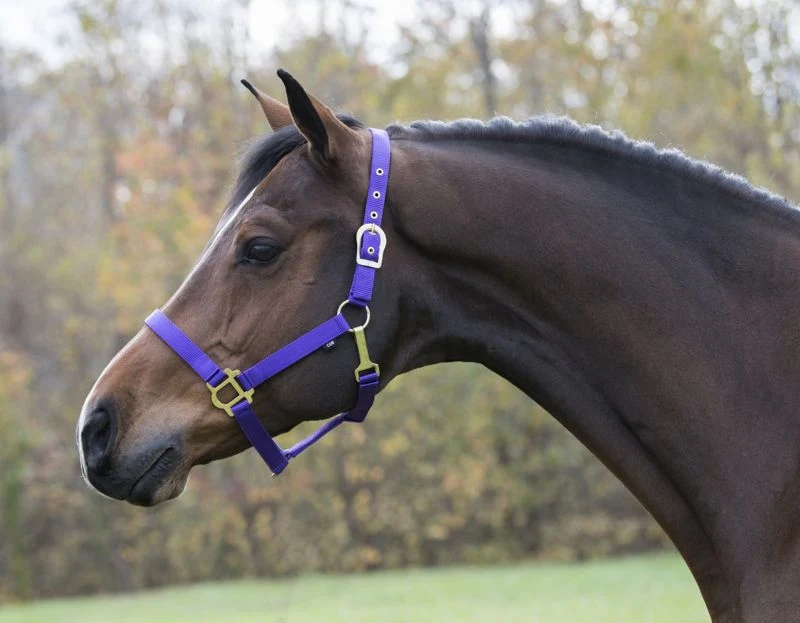 Gatsby Classic Nylon Halter/Snap - Image 8