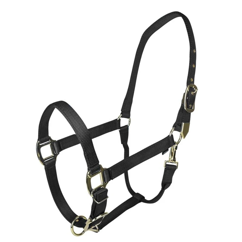 Gatsby Gold Adjustable Nylon Halter