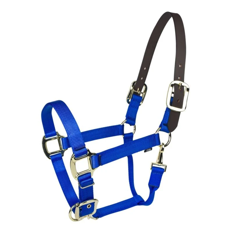 Gatsby Gold Nylon Breakaway Halter - Image 3
