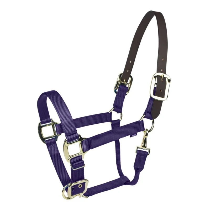 Gatsby Gold Nylon Breakaway Halter - Image 4
