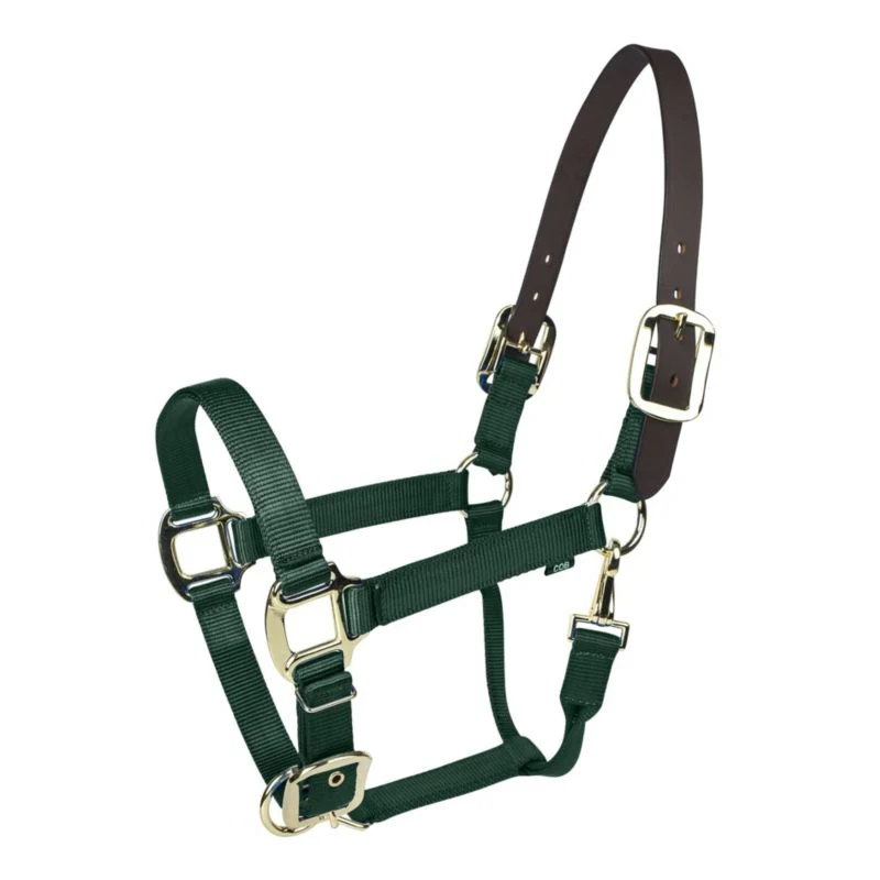 Gatsby Gold Nylon Breakaway Halter - Image 6